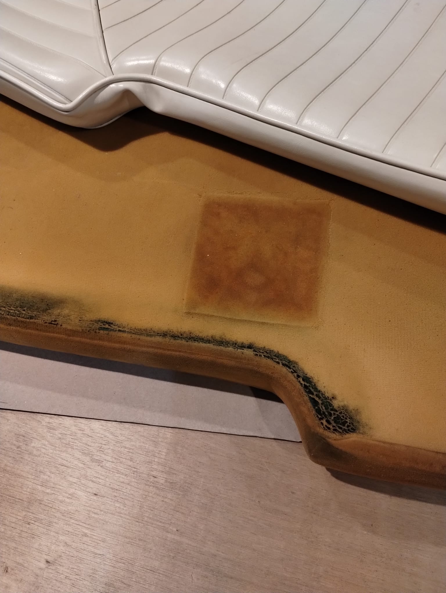 Image depicting old boat upholstery with mold in the foam.